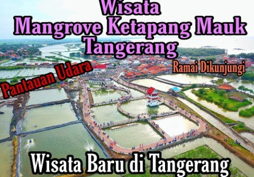 Wisata Mangrove Desa Ketapang Mauk Tangerang - Pantauan Udara
